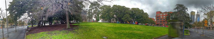 Lincoln Square Green Grass