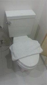 Thailand Toilet Gateway Hotel