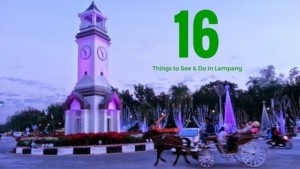 What to do in Lampang